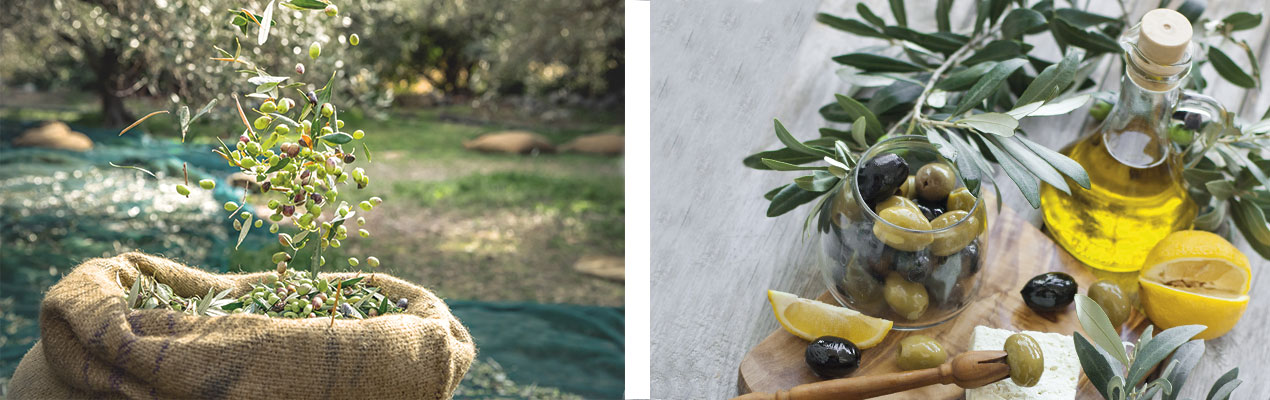Huiles d'olive - packaging personnalisé