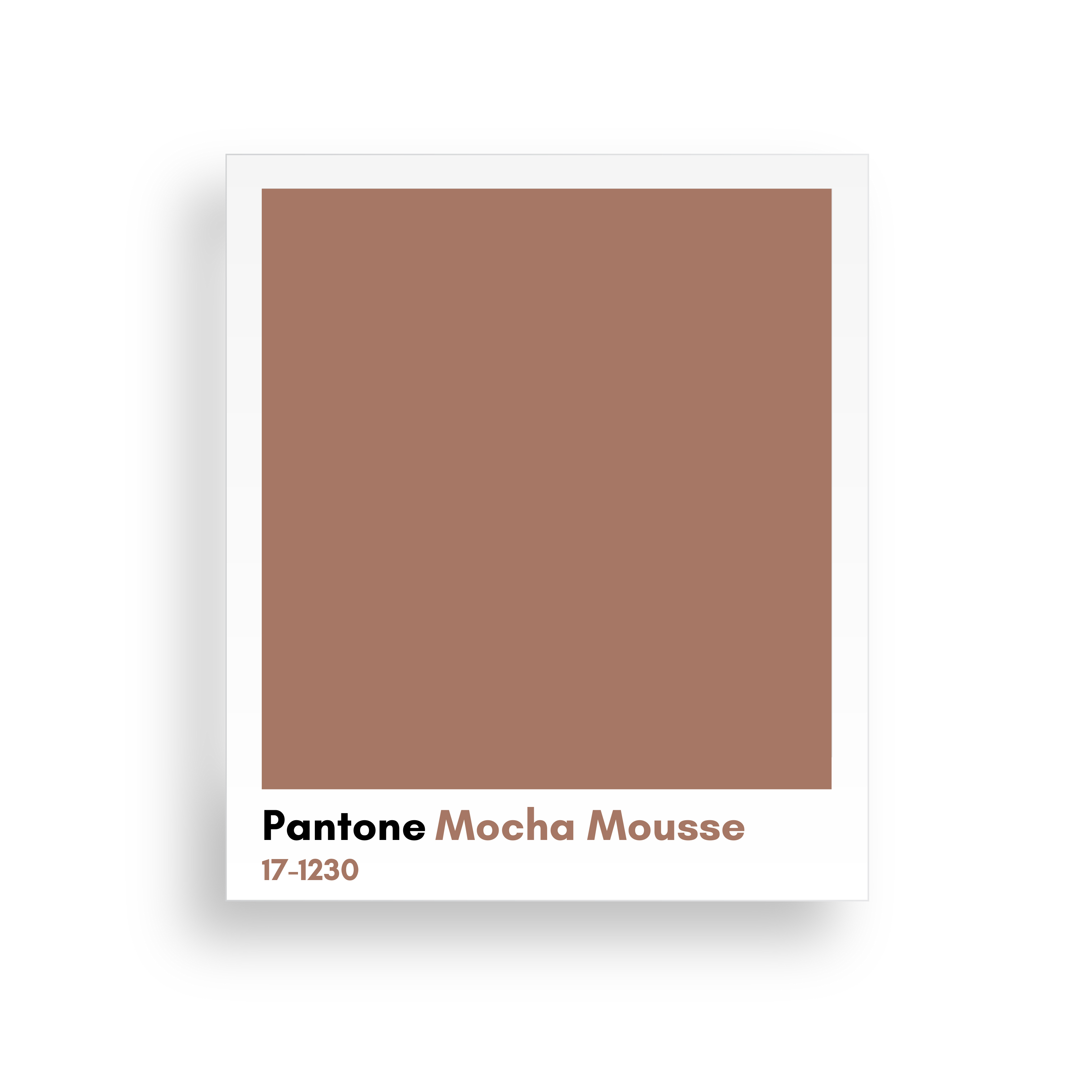 couleur pantone 2025